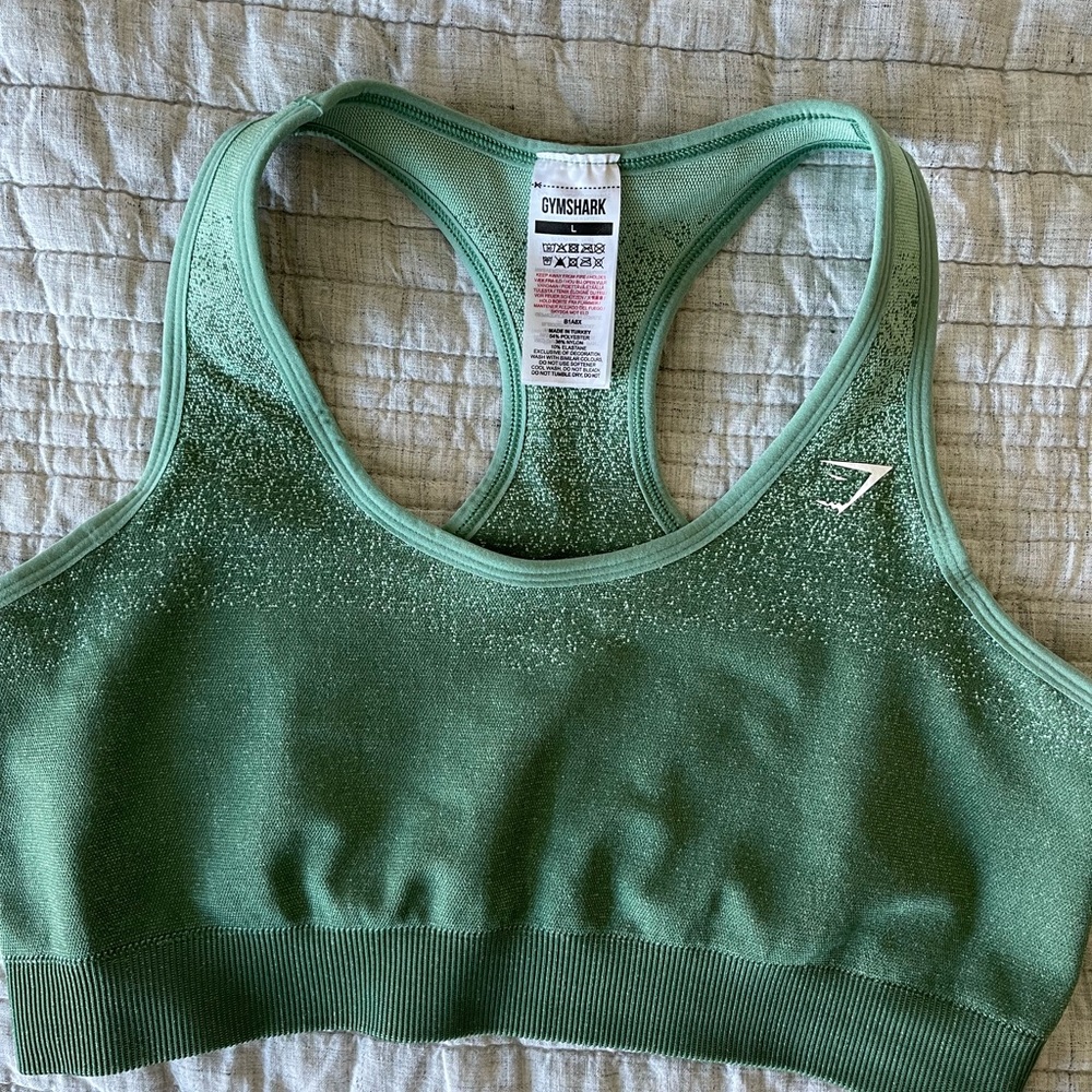 Gymshark Adapt Ombré Seamless Sport Bra